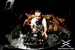 Ghostbar_72310_157