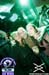 godskitchen_31110_111