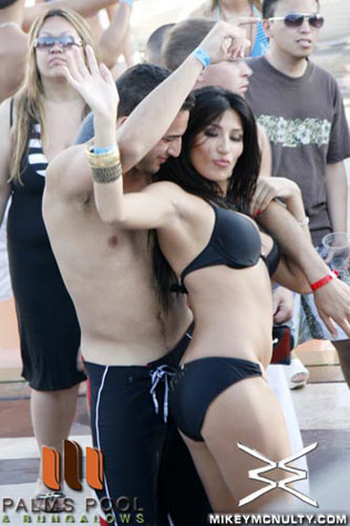 palmspool_7410_250