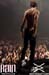 perfecto_121810_078