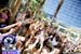 Rehab-LasVegas-PoolParty-T-Pain-9609_138