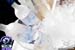 rehab_101010_083