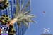 rehab_101010_095