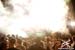 ultramusicfestival_2010_333