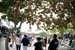 beatport_beachparty_32810_037